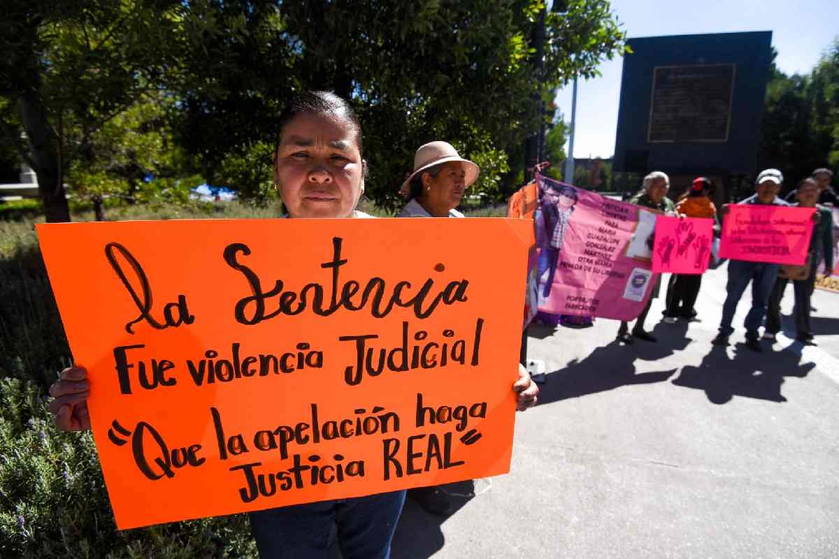 María Guadalupe Martínez exigió pensión alimenticia y terminó con una sentencia de 50 años de cárcel