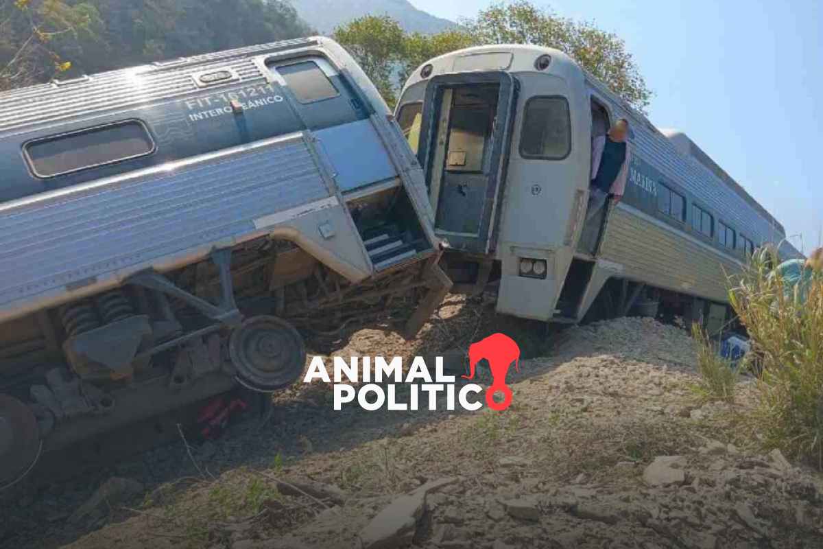 Marina niega que Tren Interoceánico opere sin seguro en 2026 pese a declarar desierta licitación