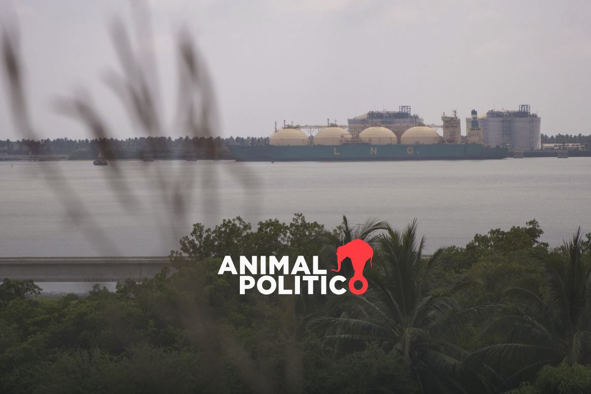 Marina no podrá realizar obras en Laguna de Cuyutlán para ampliación del puerto de Manzanillo