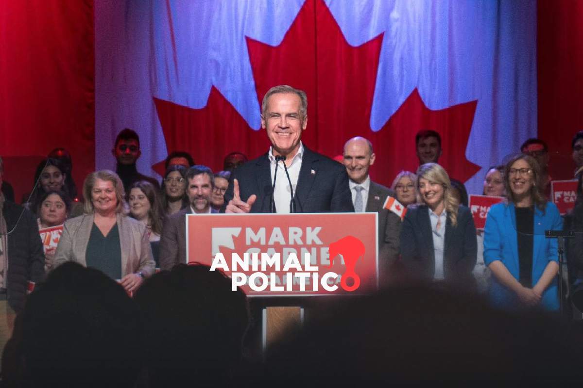 Eligen a Mark Carney para suceder a Trudeau como primer ministro de Canadá