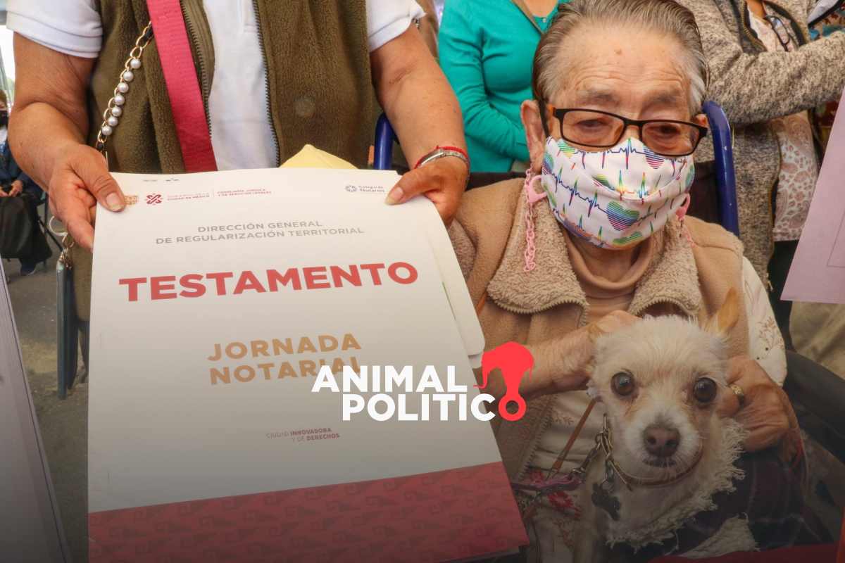 Mes del testamento: en septiembre habrá 50 % de descuento; te decimos todo lo que debes saber