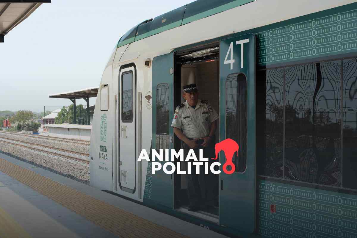 Tren Maya: comunidades y colectivos exigen planes de restauración ante impacto del megaproyecto