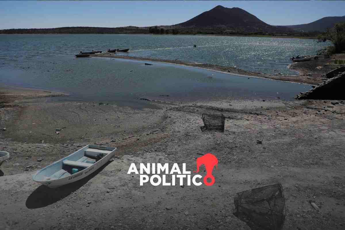 México ratifica tratado para enviar agua a EU; será bajo las condiciones de sequía actuales