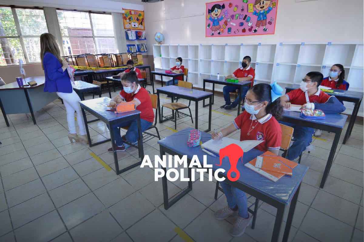 México termina 2025 con crisis educativa por falta de evaluación y decisiones partidistas