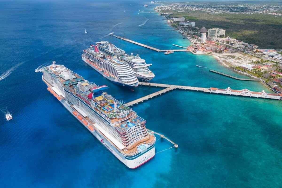 México: el emblemático coral cuerno de alce ha dejado de reproducirse en la isla de Cozumel