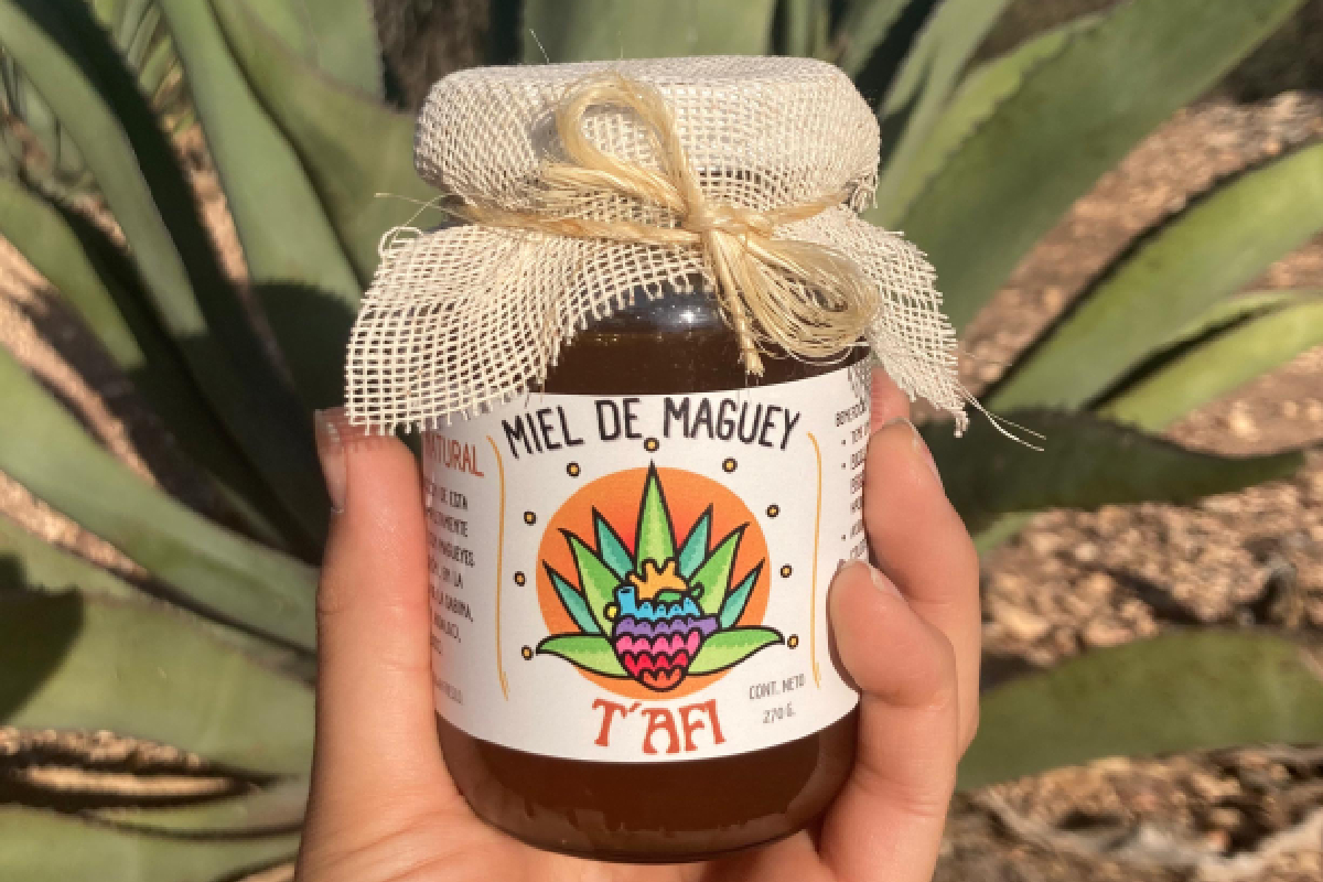 Beneficios de la miel de maguey pulquero