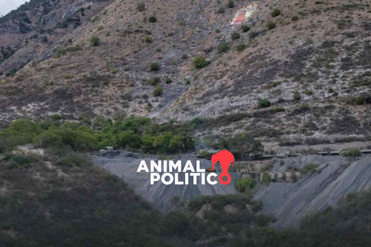 Minería, tala y narcolaboratorios: industria contaminante que CJNG expandió al mando de "El Mencho"