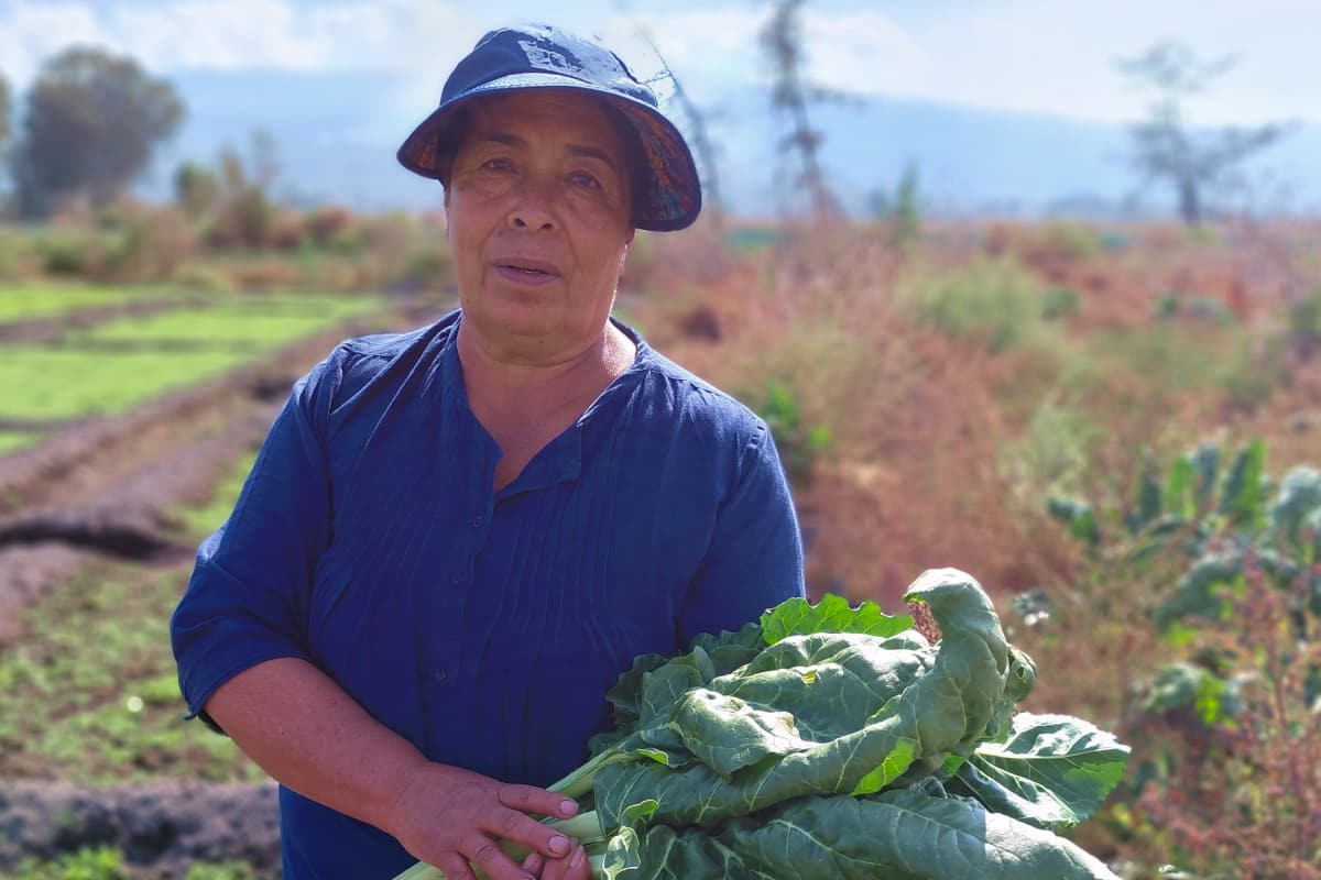 Mujer productora de romeritos en medio del campo con acelgas en las manos