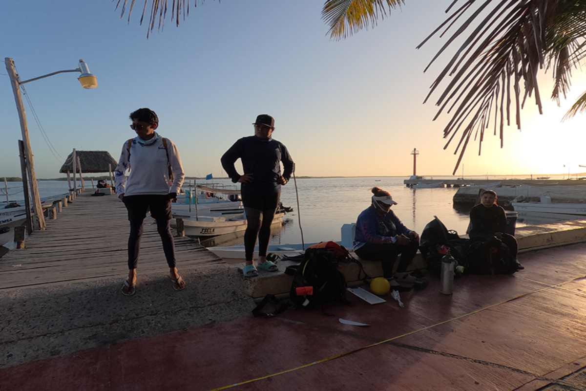 Mujeres del mar las pescadoras de América Latina que sostienen la pesca y defienden ecosistemas 