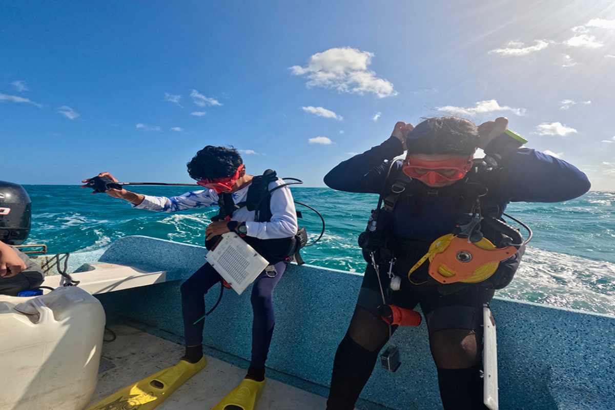 Mujeres del mar las pescadoras de América Latina que sostienen la pesca y defienden ecosistemas 