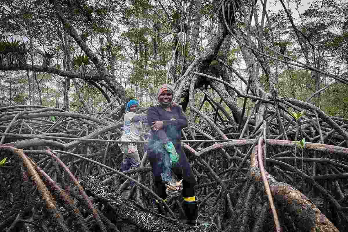 Mujeres del mar: las pescadoras de América Latina que sostienen la pesca y defienden ecosistemas 