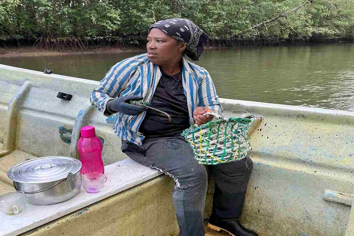Mujeres del mar: las pescadoras de América Latina que sostienen la pesca y defienden ecosistemas 