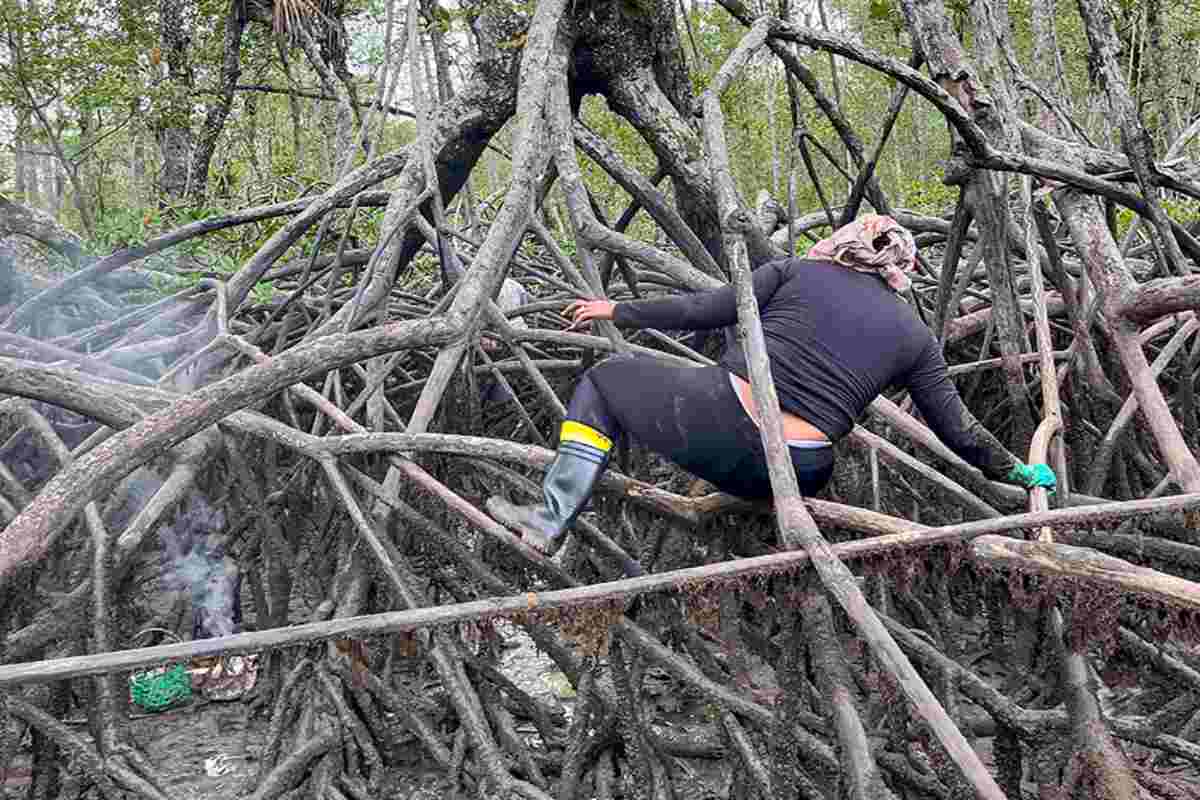 Mujeres del mar: las pescadoras de América Latina que sostienen la pesca y defienden ecosistemas 