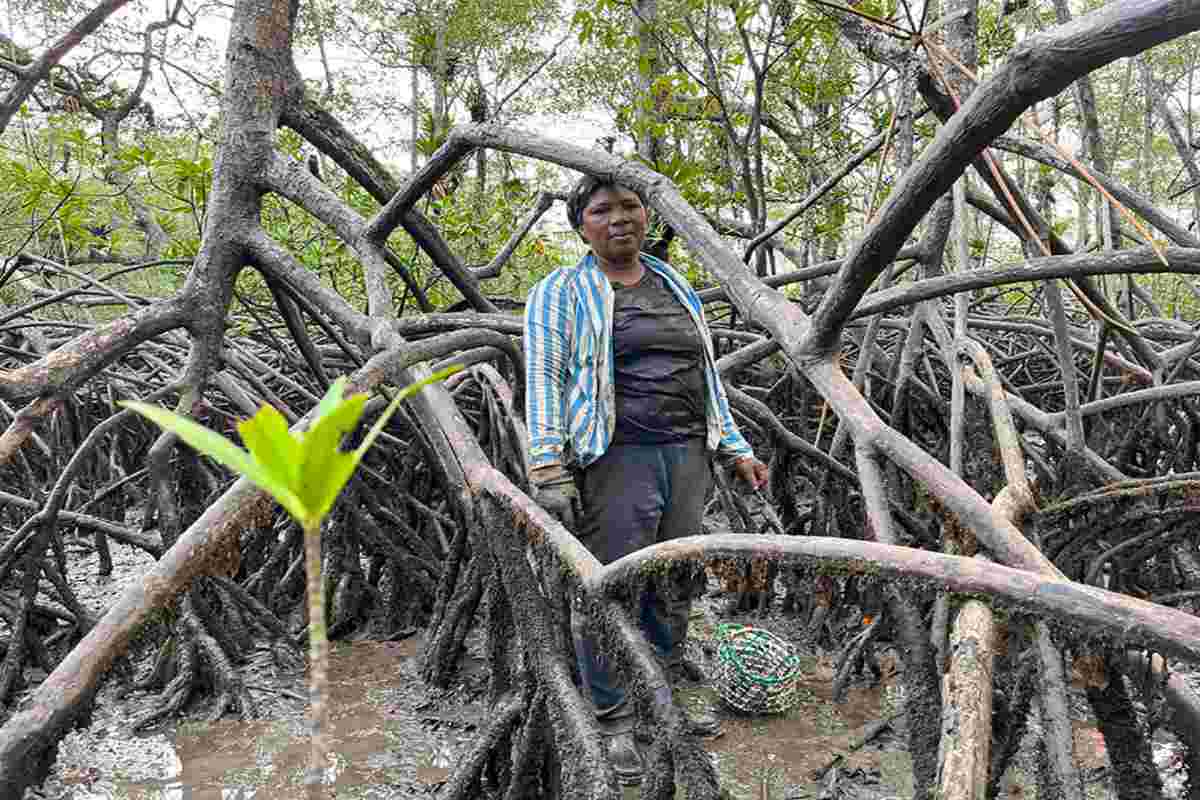 Mujeres del mar: las pescadoras de América Latina que sostienen la pesca y defienden ecosistemas 