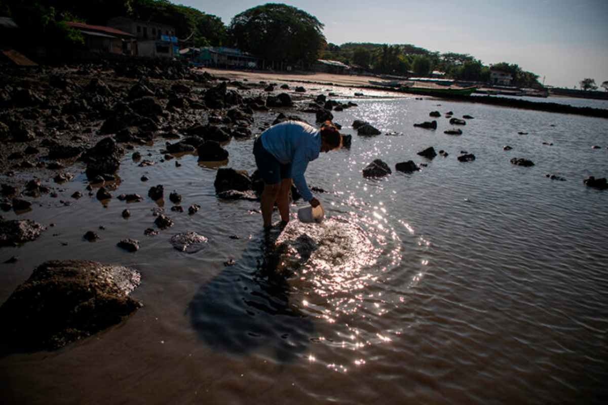 Mujeres del mar: las pescadoras de América Latina que sostienen la pesca y defienden ecosistemas 