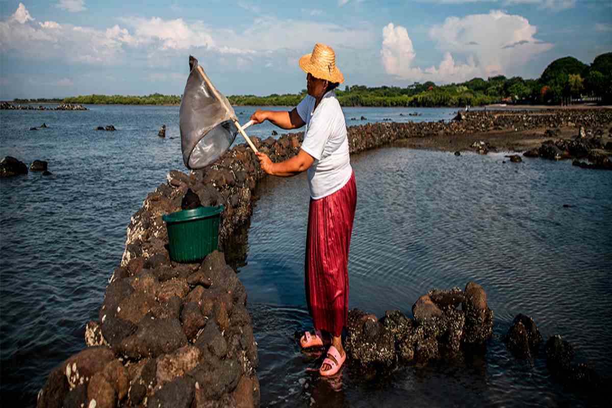 Mujeres del mar: las pescadoras de América Latina que sostienen la pesca y defienden ecosistemas 