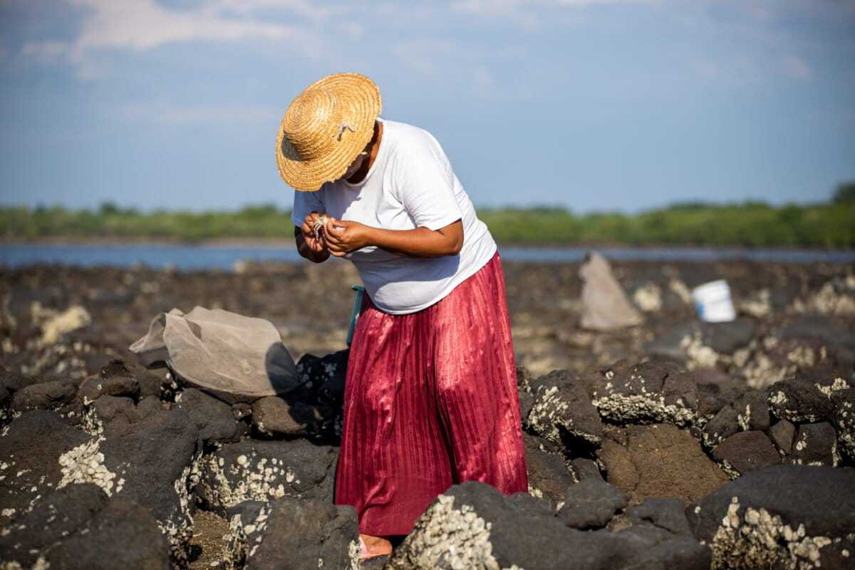 Mujeres del mar: las pescadoras de América Latina que sostienen la pesca y defienden ecosistemas 