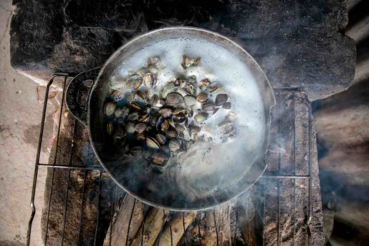 Mujeres del mar: las pescadoras de América Latina que sostienen la pesca y defienden ecosistemas 