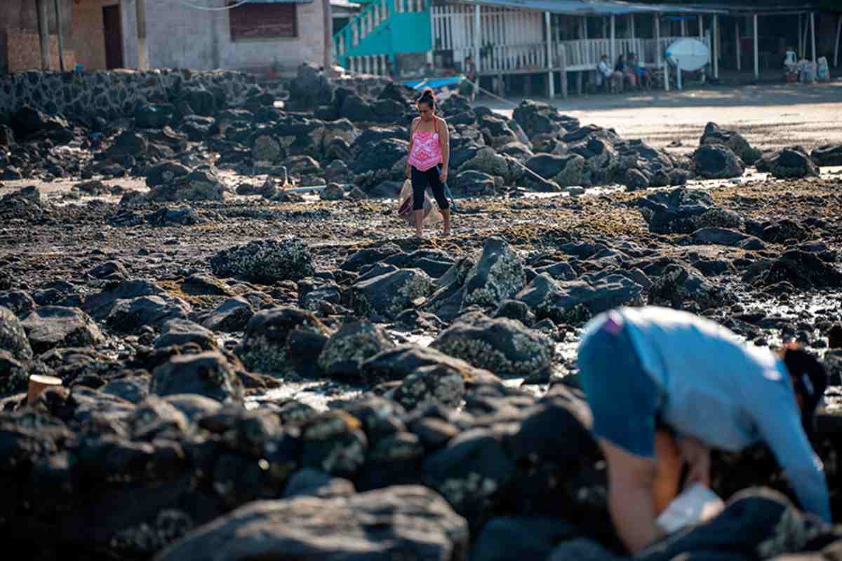 Mujeres del mar: las pescadoras de América Latina que sostienen la pesca y defienden ecosistemas 