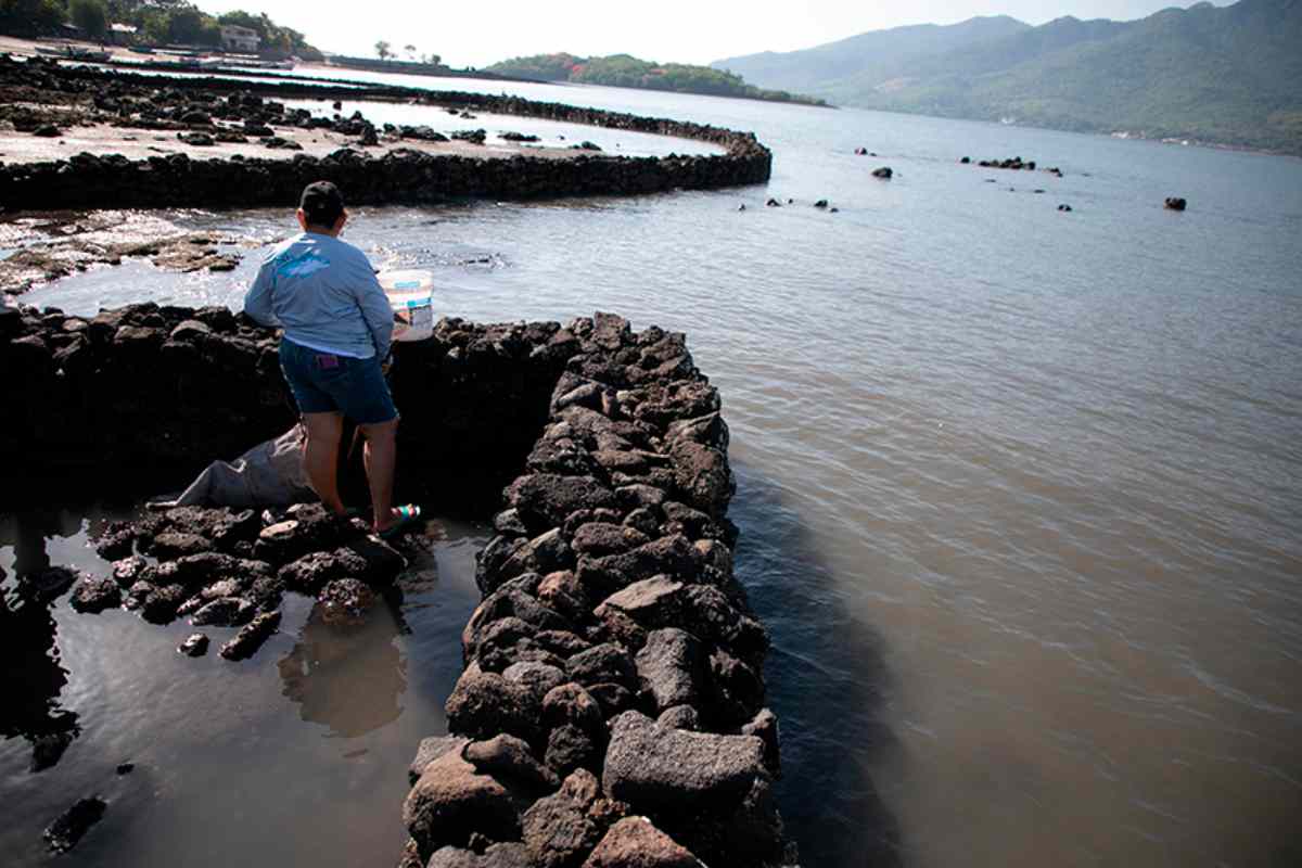 Mujeres del mar: las pescadoras de América Latina que sostienen la pesca y defienden ecosistemas 