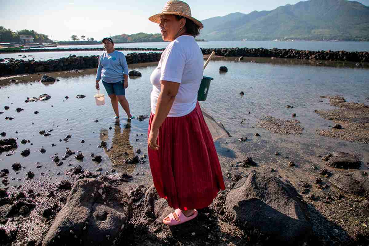 Mujeres del mar: las pescadoras de América Latina que sostienen la pesca y defienden ecosistemas 