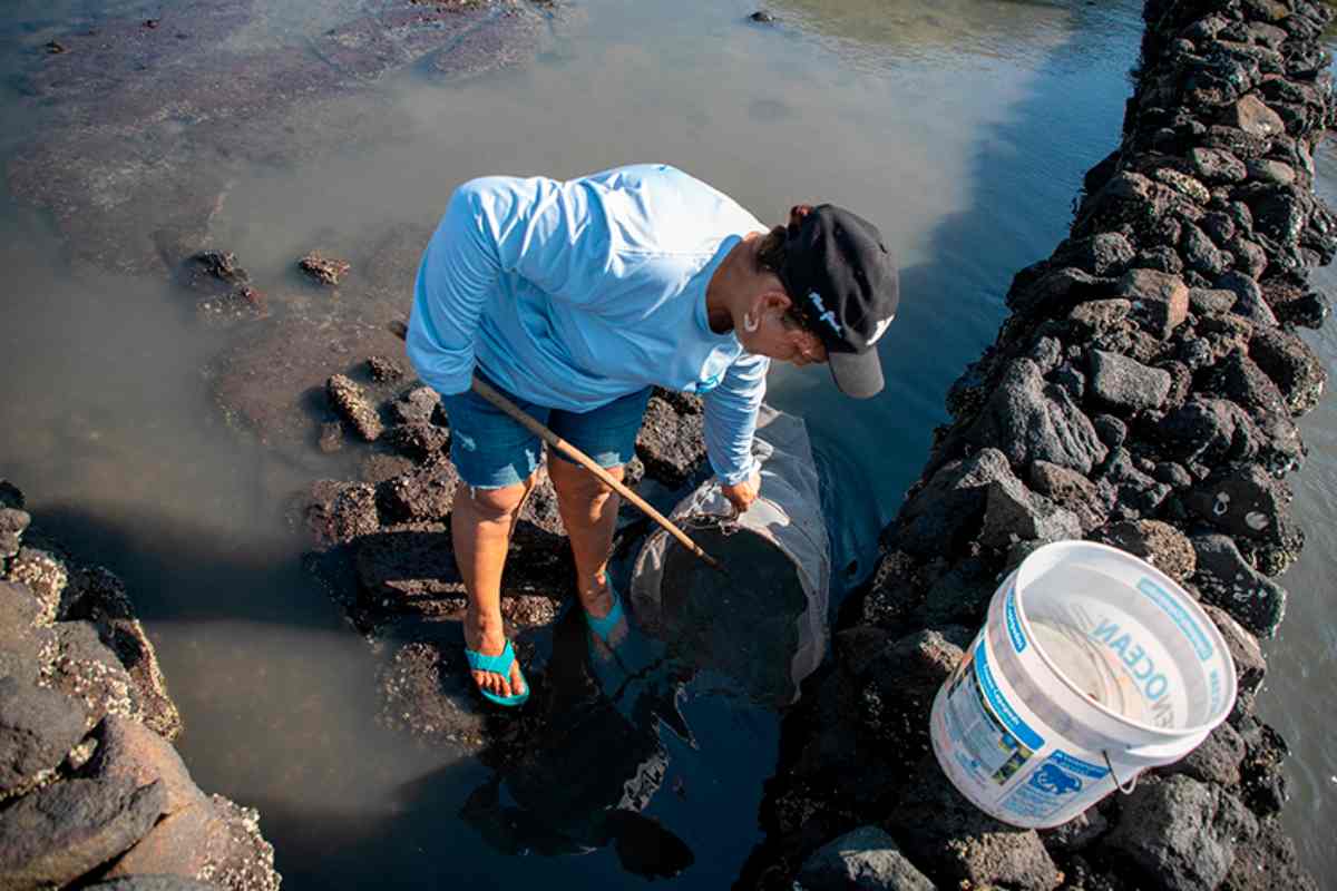 Mujeres del mar: las pescadoras de América Latina que sostienen la pesca y defienden ecosistemas 