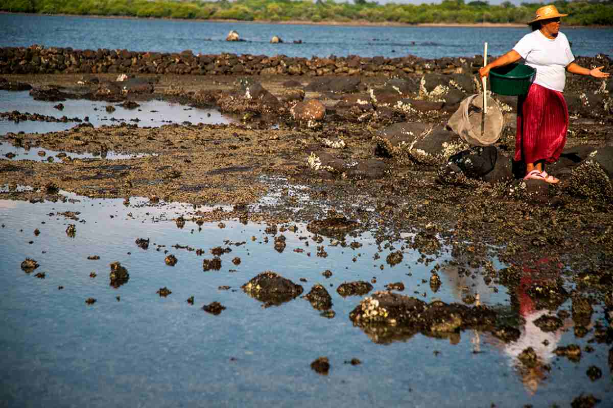 Mujeres del mar: las pescadoras de América Latina que sostienen la pesca y defienden ecosistemas 