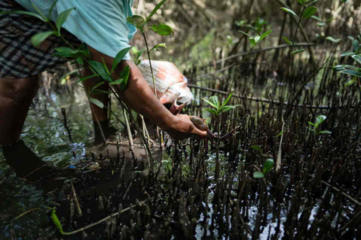 Mujeres del mar: las pescadoras de América Latina que sostienen la pesca y defienden ecosistemas 