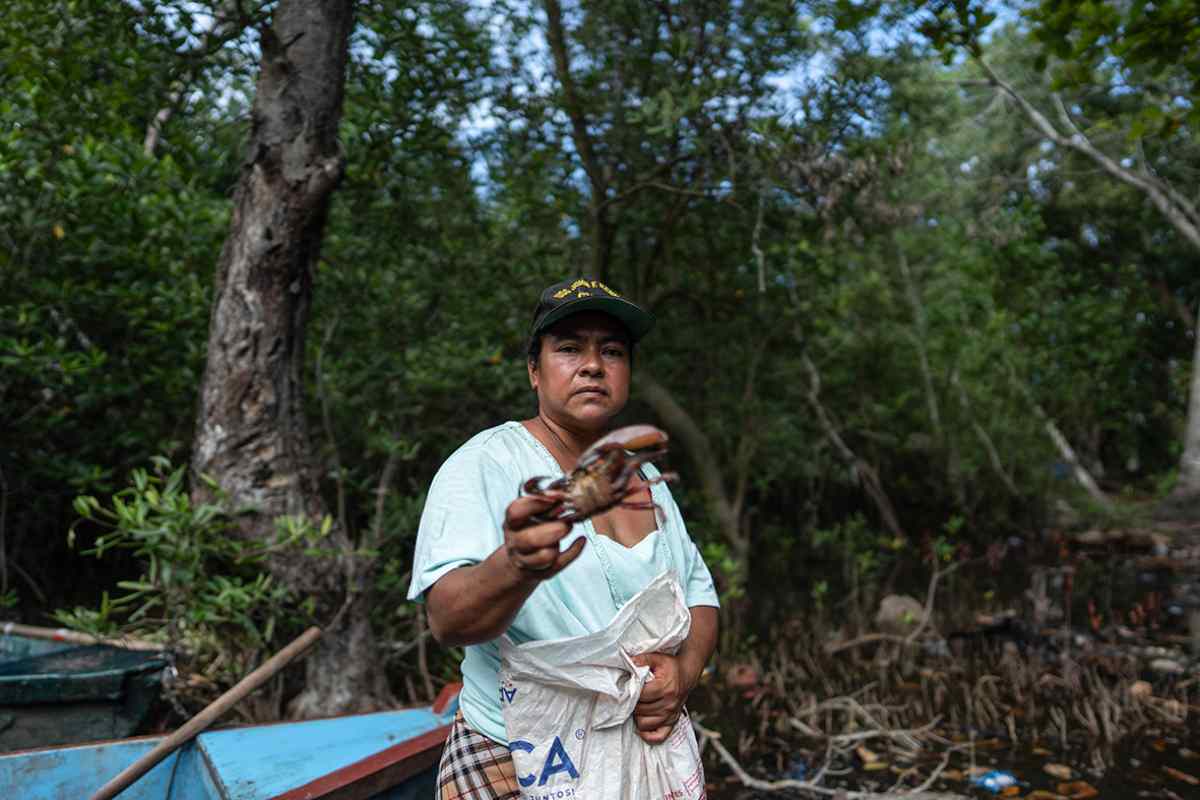 Mujeres del mar: las pescadoras de América Latina que sostienen la pesca y defienden ecosistemas 