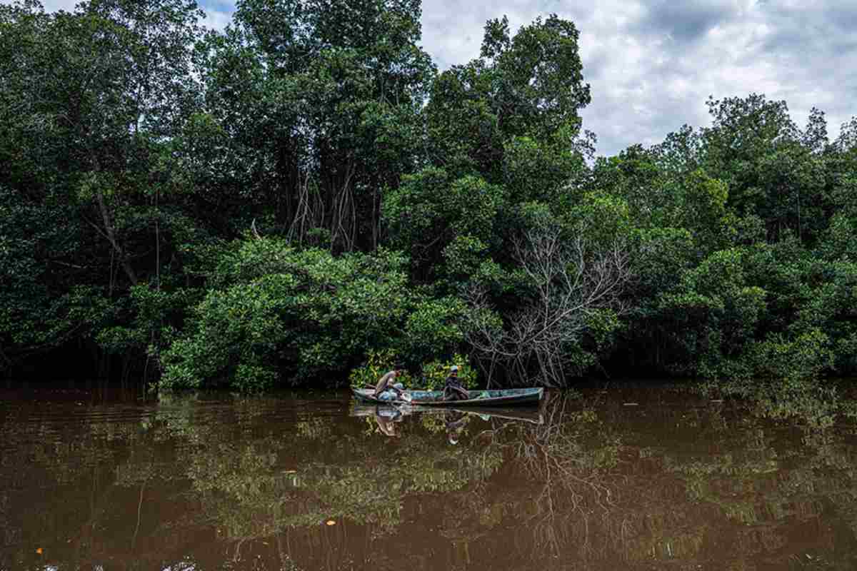Mujeres del mar: las pescadoras de América Latina que sostienen la pesca y defienden ecosistemas 