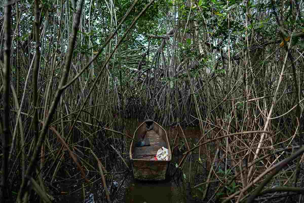 Mujeres del mar: las pescadoras de América Latina que sostienen la pesca y defienden ecosistemas 