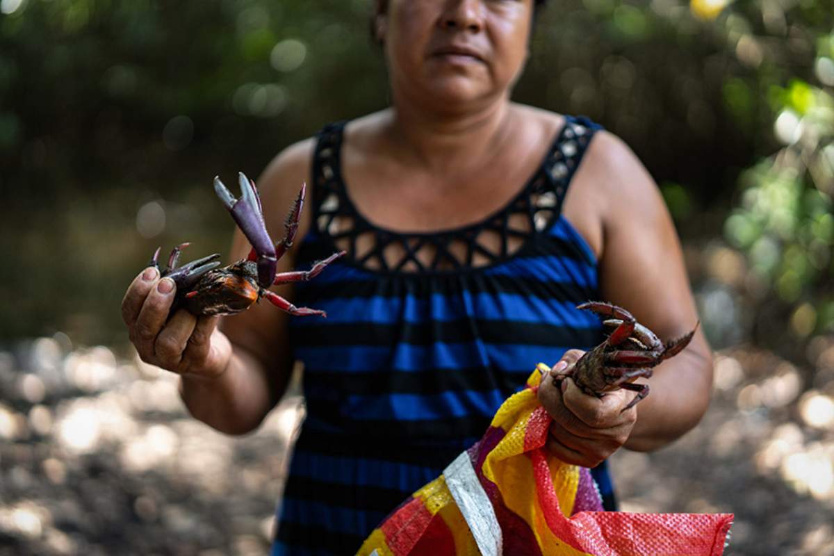 Mujeres del mar: las pescadoras de América Latina que sostienen la pesca y defienden ecosistemas 