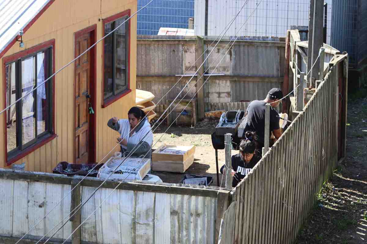 Mujeres del mar: las pescadoras de América Latina que sostienen la pesca y defienden ecosistemas 