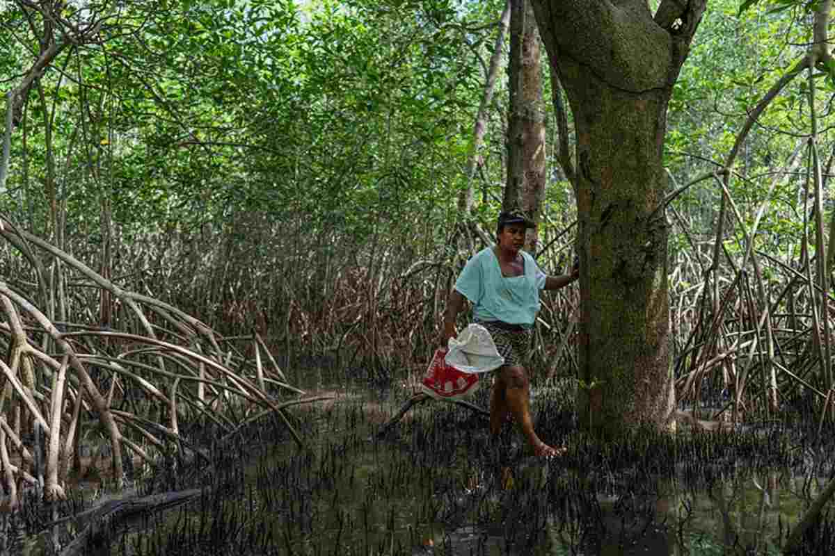 Mujeres del mar: las pescadoras de América Latina que sostienen la pesca y defienden ecosistemas 