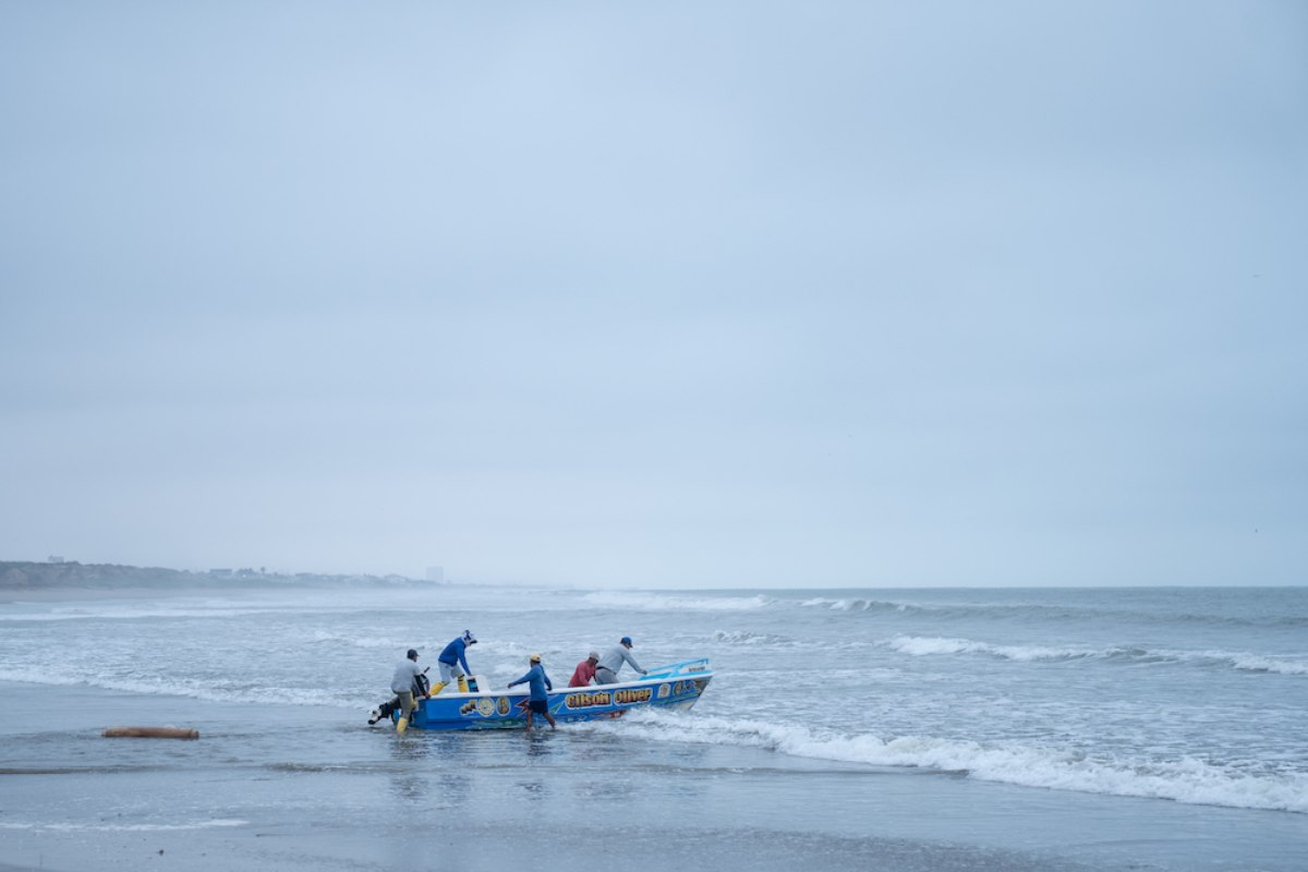 Mujeres del mar: las pescadoras de América Latina que sostienen la pesca y defienden ecosistemas