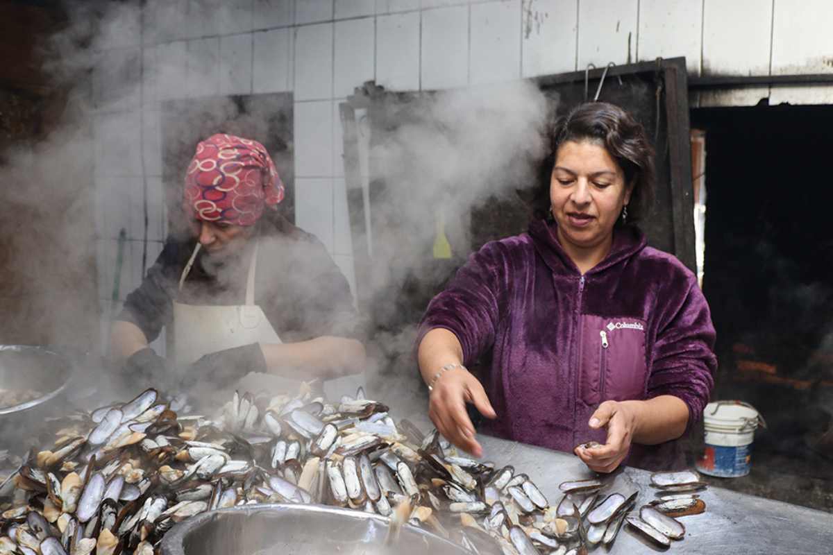 Mujeres del mar: las pescadoras de América Latina que sostienen la pesca y defienden ecosistemas 
