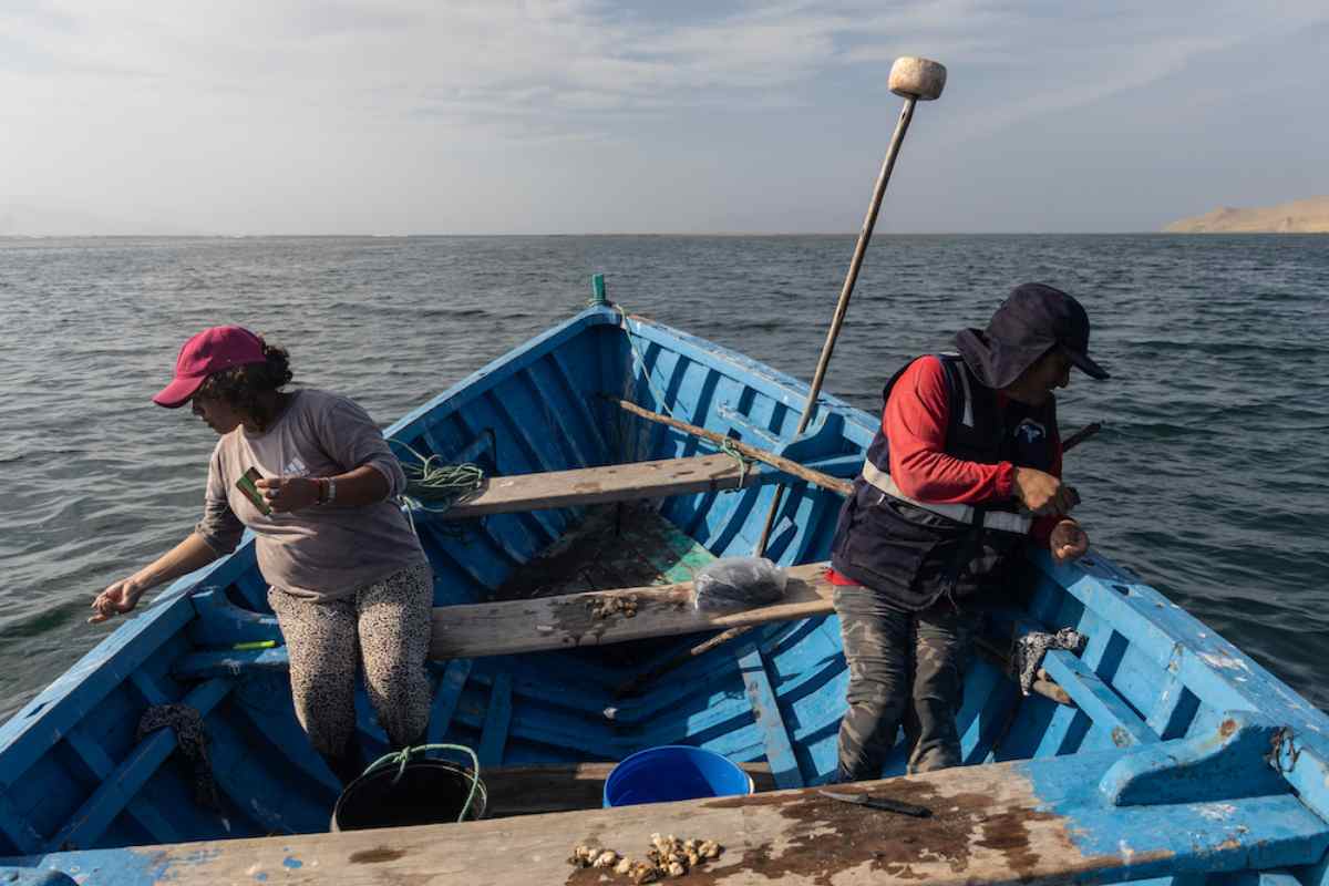 Mujeres del mar: las pescadoras de América Latina que sostienen la pesca y defienden ecosistemas