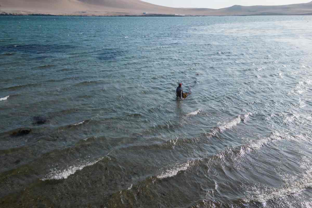 Mujeres del mar: las pescadoras de América Latina que sostienen la pesca y defienden ecosistemas