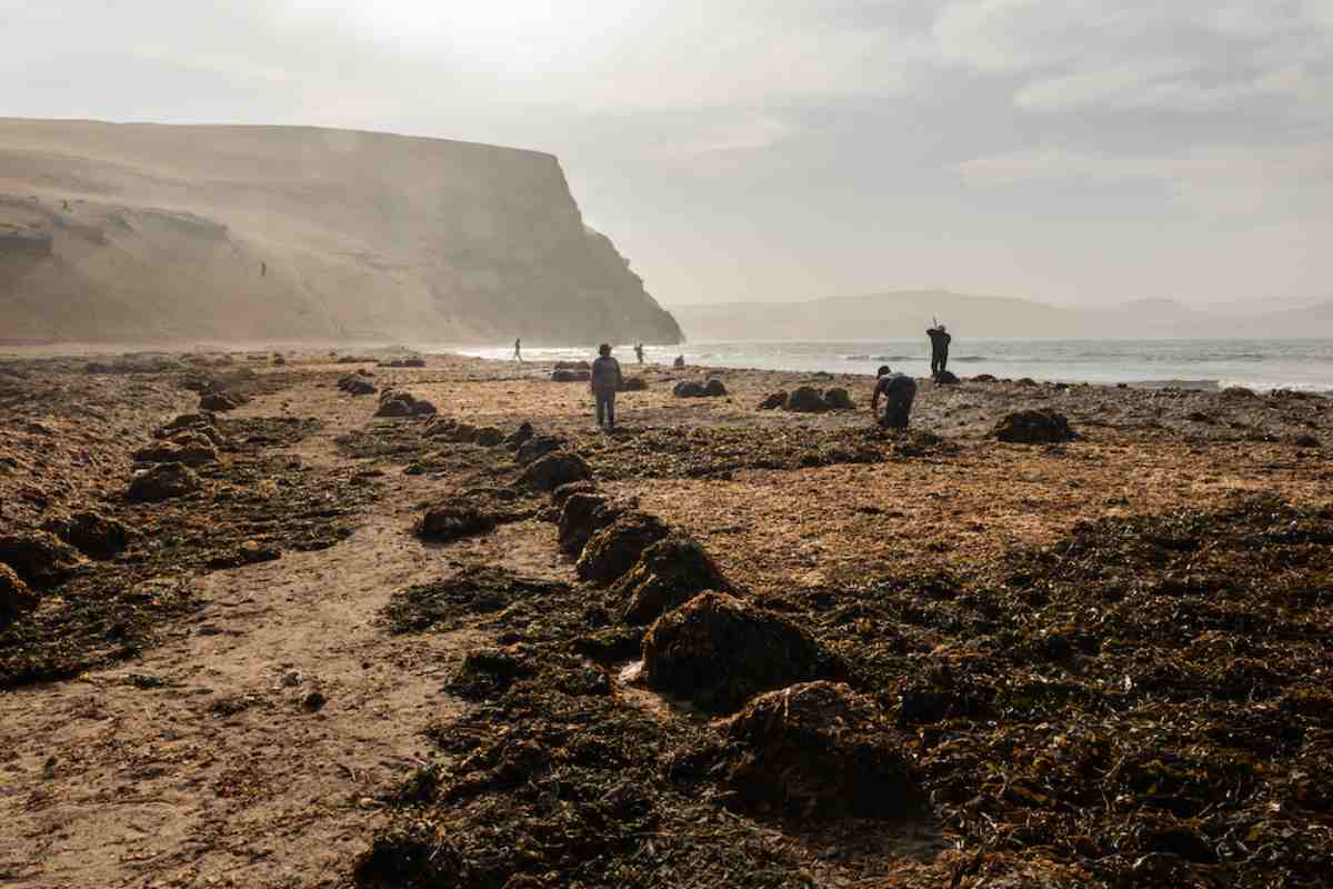 Mujeres del mar: las pescadoras de América Latina que sostienen la pesca y defienden ecosistemas