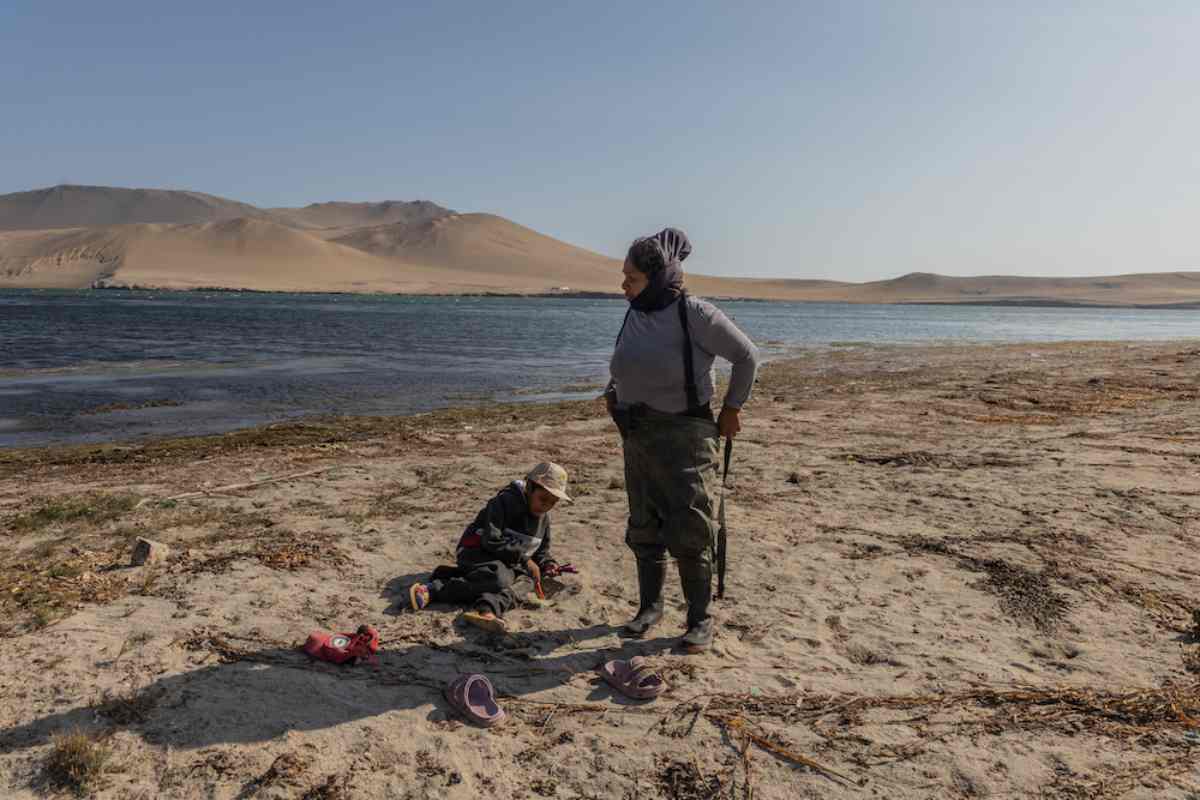 Mujeres del mar: las pescadoras de América Latina que sostienen la pesca y defienden ecosistemas