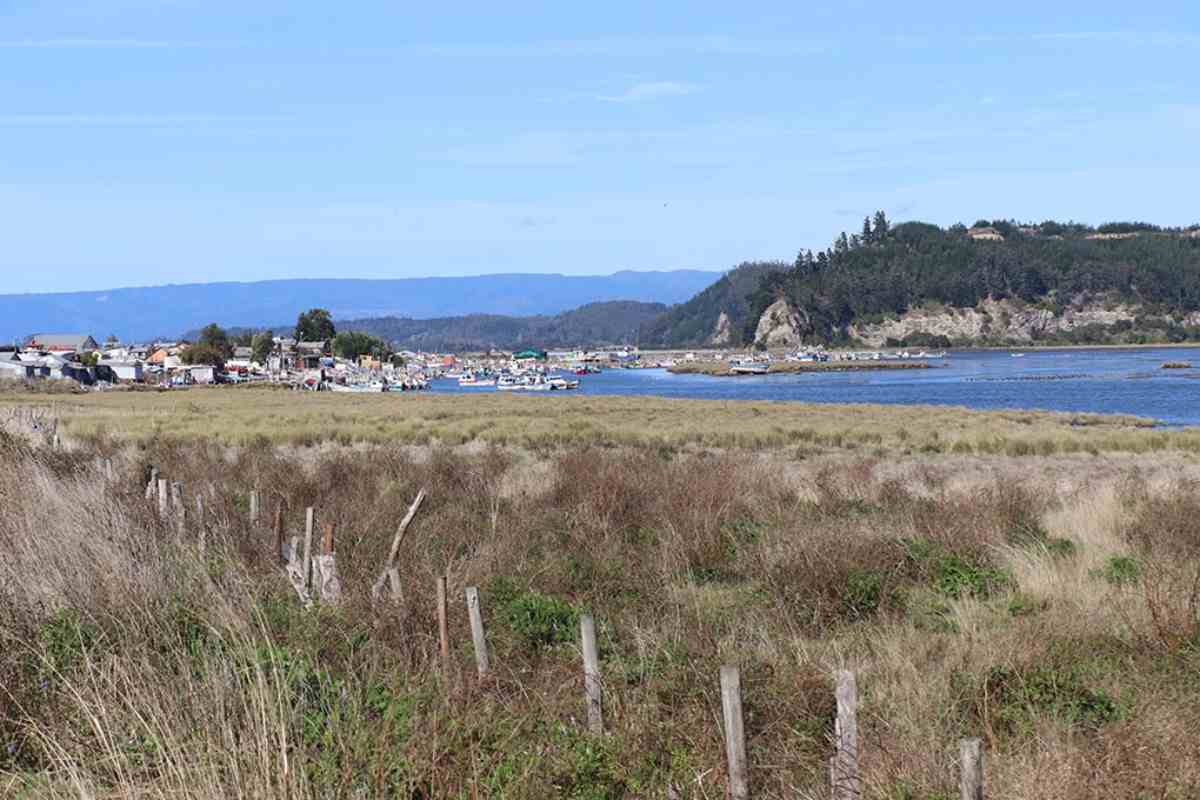 Mujeres del mar: las pescadoras de América Latina que sostienen la pesca y defienden ecosistemas 