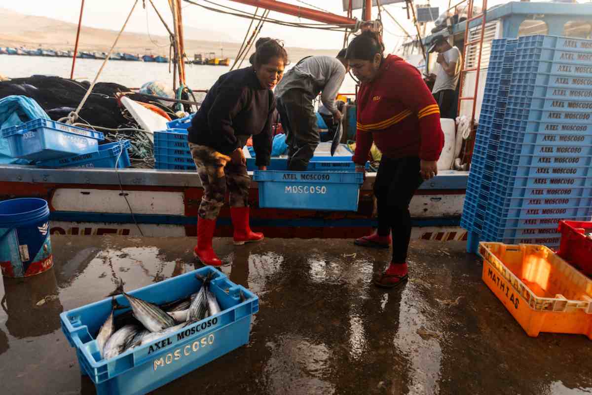 Mujeres del mar: las pescadoras de América Latina que sostienen la pesca y defienden ecosistemas
