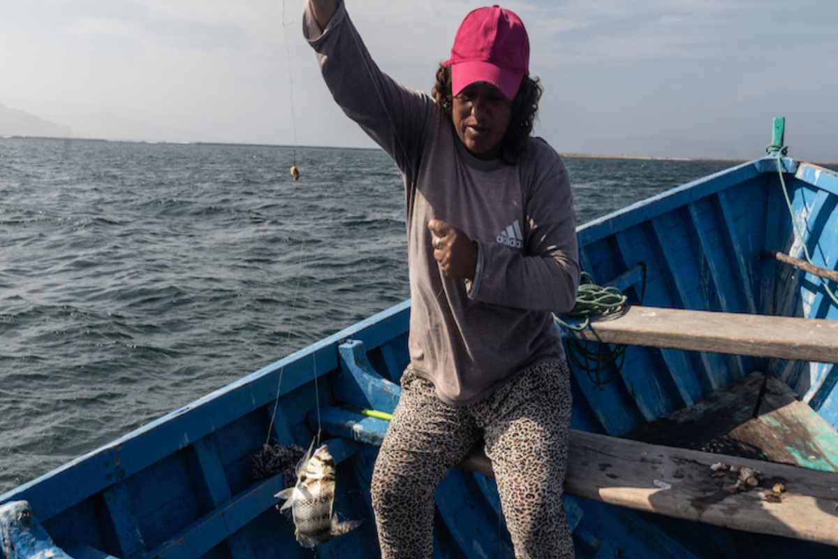 Mujeres del mar: las pescadoras de América Latina que sostienen la pesca y defienden ecosistemas