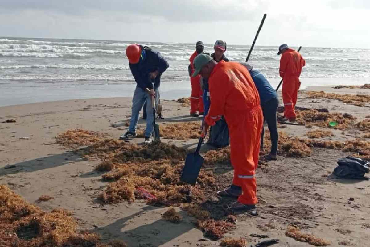 Nahle niega que hidrocarburos en sur de Veracruz sea derrame de algún barco o plataforma