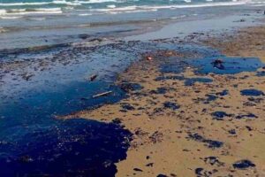 Nahle niega que hidrocarburos en sur de Veracruz sea derrame de algún barco o plataforma