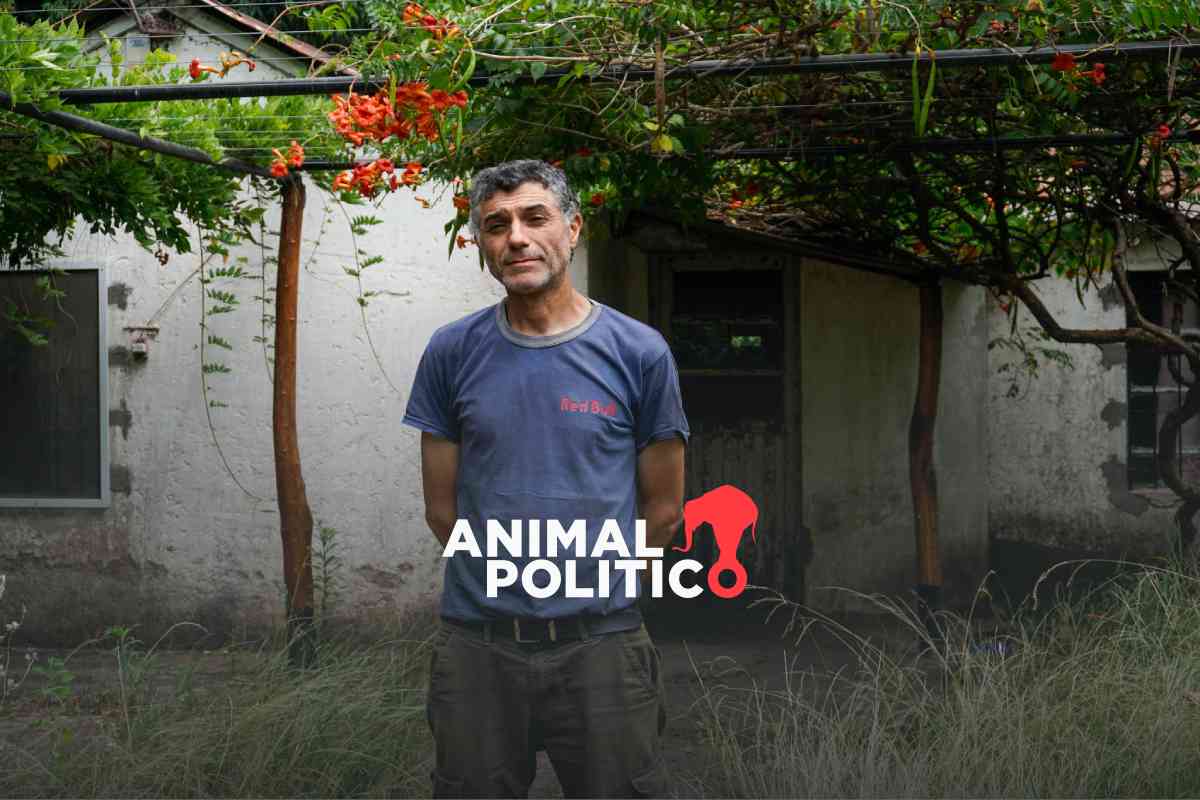 Enfermedad e intoxicación: Un pueblo rural revela el costo del auge de los agroquímicos en Argentina