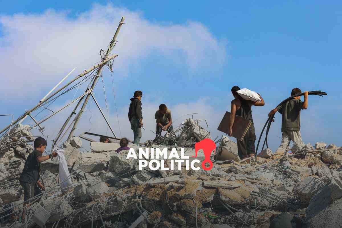 Israel amplía acciones militares en Ciudad de Gaza; ha asesinado a 64 mil palestinos en 23 meses