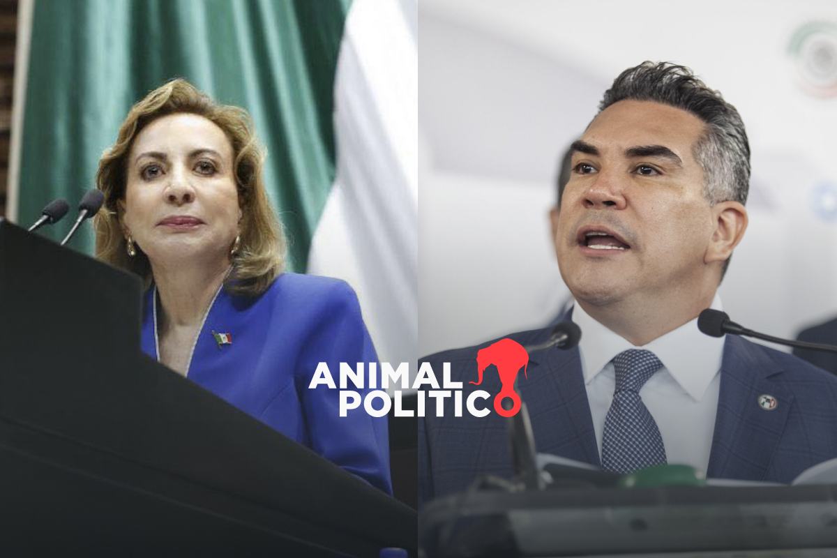 “No somos un país homogéneo”: partidos de oposición piden respeto y diálogo a presidenta Sheinbaum