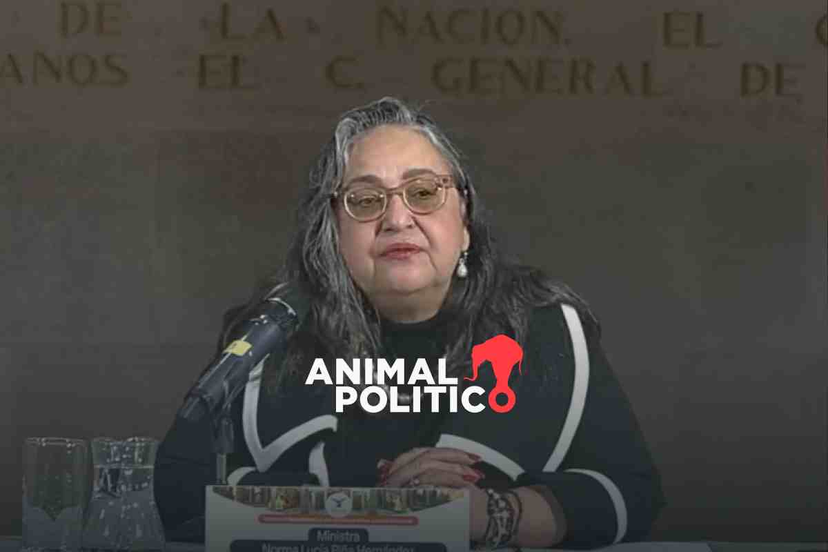 Democracia enfrenta “amenazas sin precedentes”; trabajadores de PJ son “víctimas de calumnias": Piña