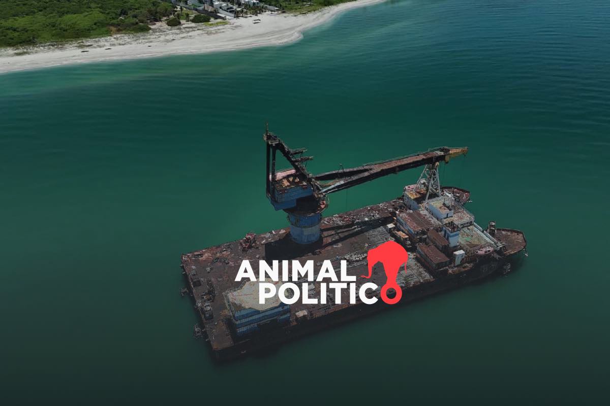 Tortugueros del Golfo de México sienten derrames de crudo en la piel antes de que se vean en el mar